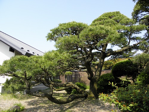 水基巡り6