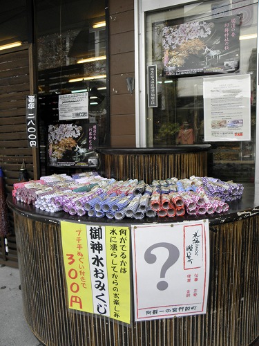 林檎のはな13
