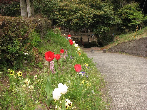 塩井神社水源5
