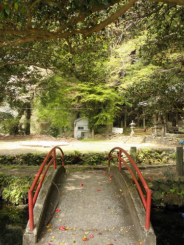 塩井神社水源7