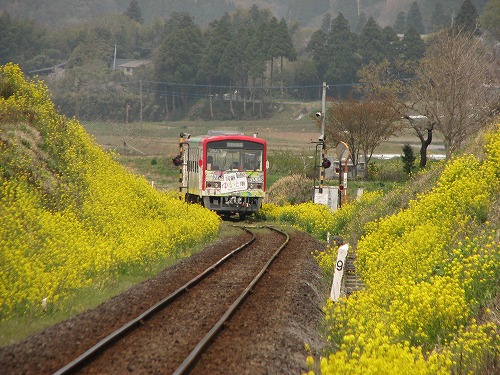 日本一長名駅5