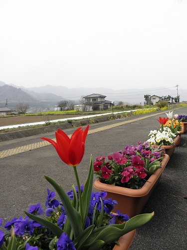 阿蘇白川駅11