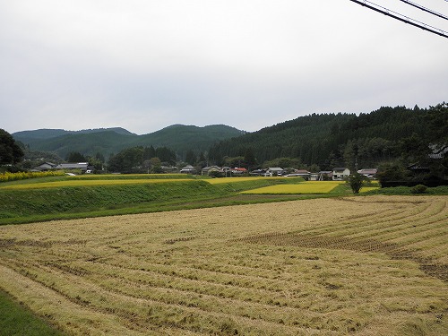 坂本善三美術館9