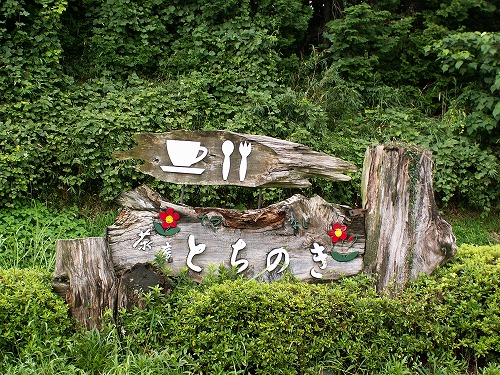 とちのき1