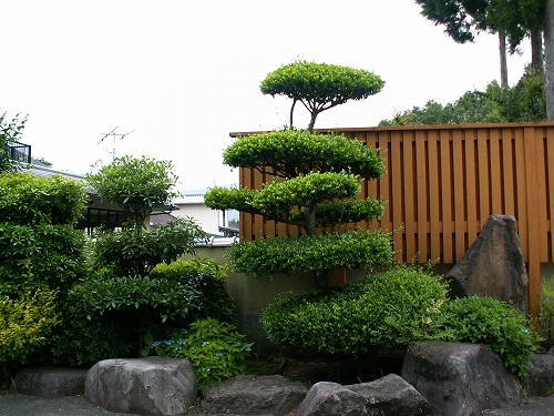 朝陽3