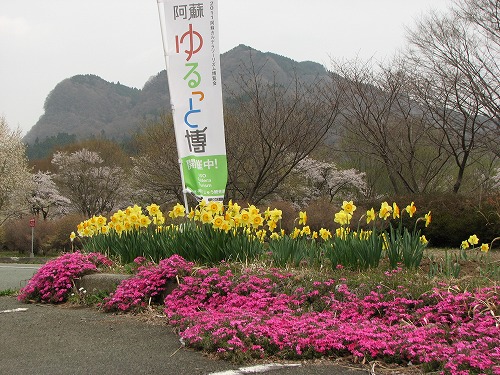 高森花公園1