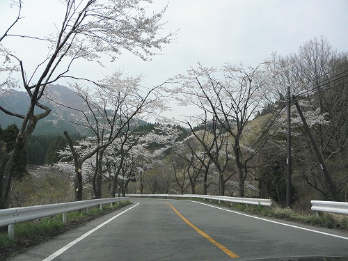 高森花公園14