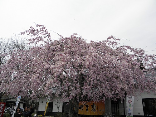 高森花公園2