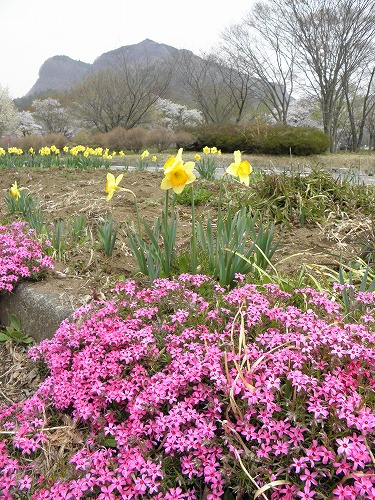 高森花公園9