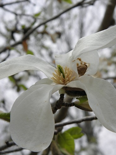 高森花公園10