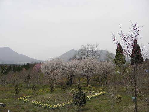 高森花公園7
