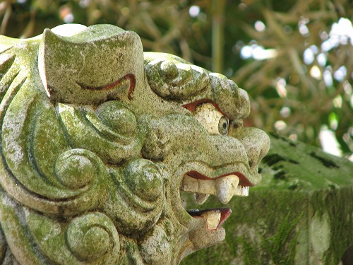 長野阿蘇神社7