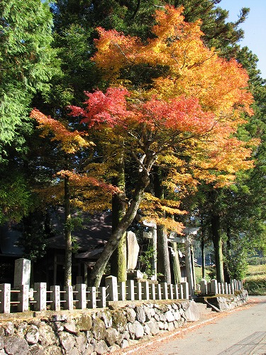 長野阿蘇神社17