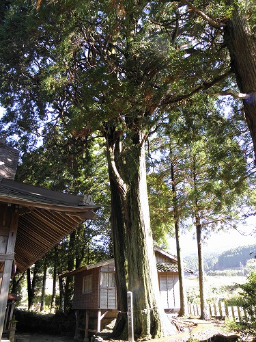 長野阿蘇神社16