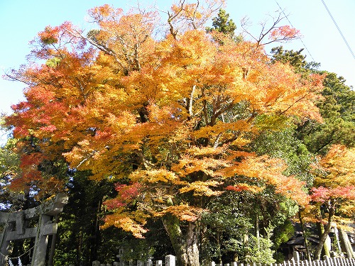 長野阿蘇神社14