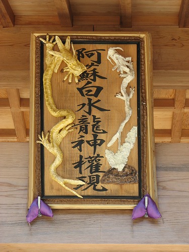 白水龍神10