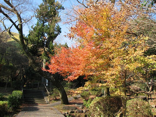的石御茶屋跡4