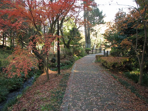 的石御茶屋跡5