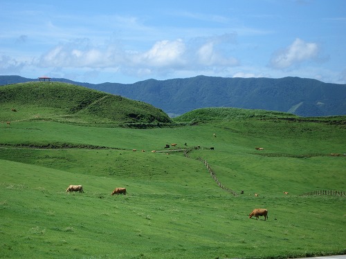 草千里5