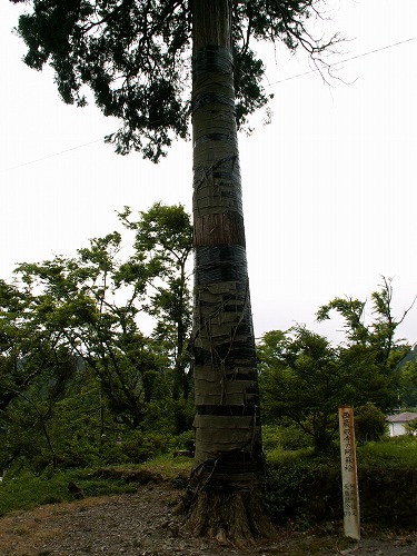 西巌殿寺26