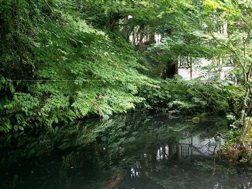 西巌殿寺15