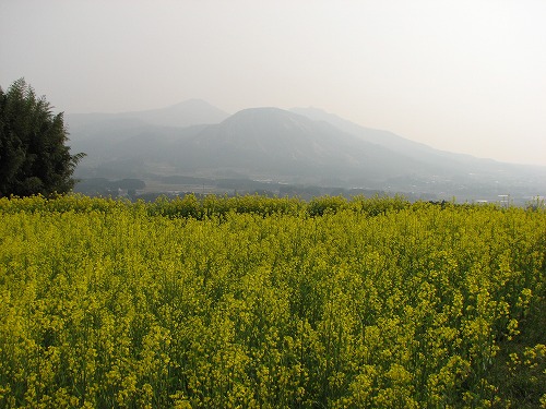 俵山峠21