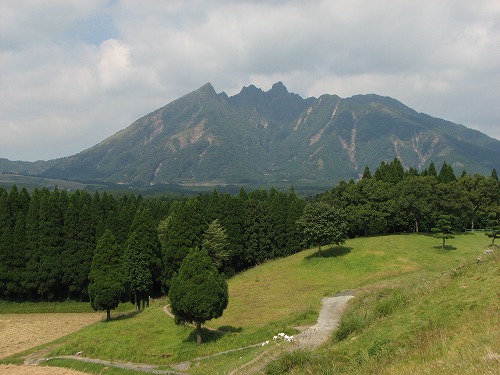 月廻り公園4