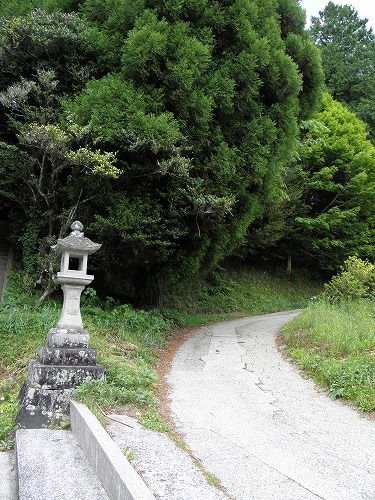 幣立神宮29