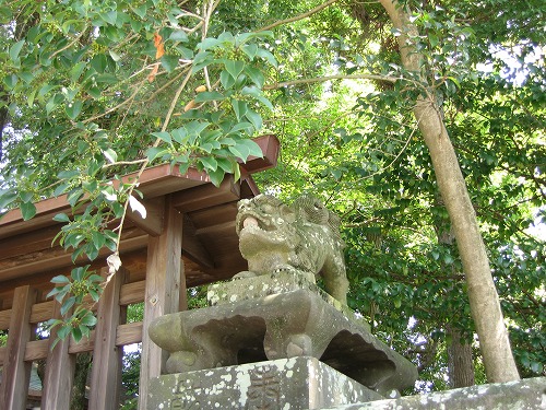 大宮神社7