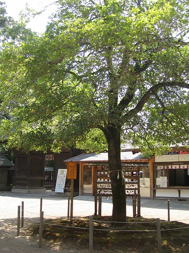 大宮神社14