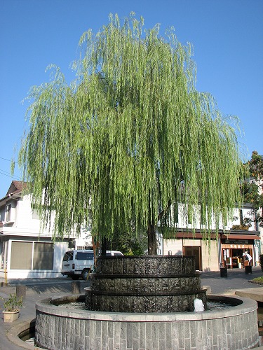 山鹿温泉6