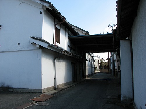 千代の園6