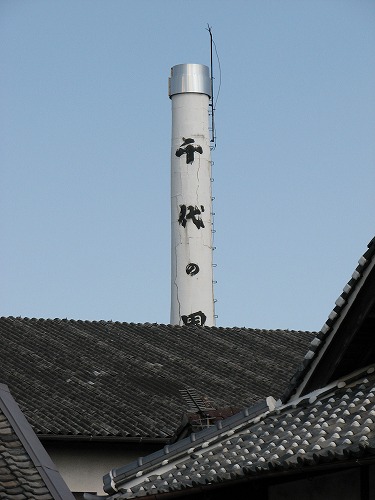 千代の園13