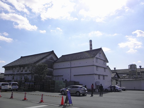 千代の園10