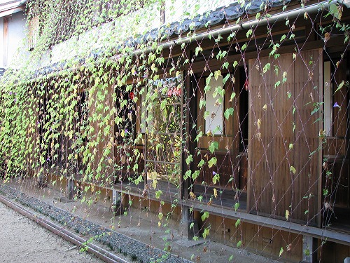 八千代座20