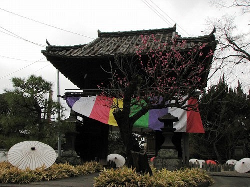 光専寺4