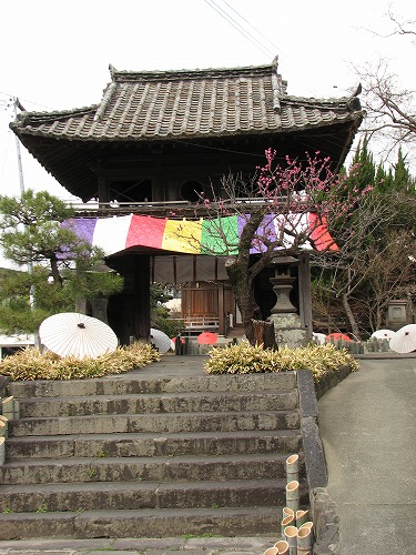 光専寺11