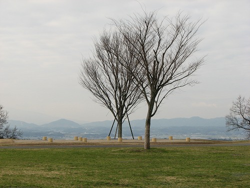 鞠智城5