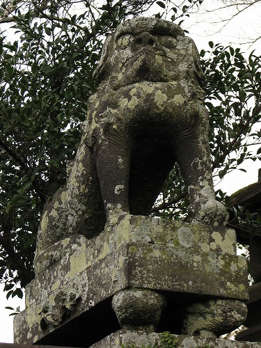 松尾神社16