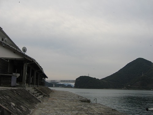 三角港12