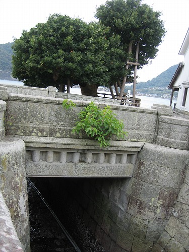 水路と埠頭3
