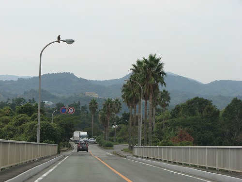 大矢野橋6