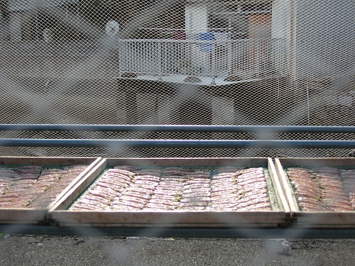 崎津港12