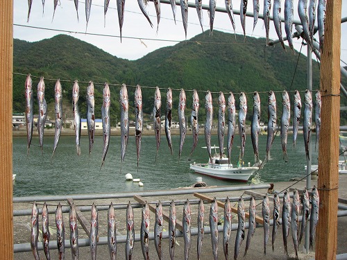 崎津港15