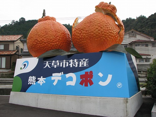 天草とれたて市場3