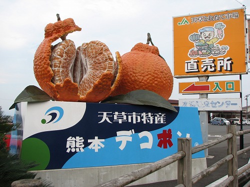 天草とれたて市場1