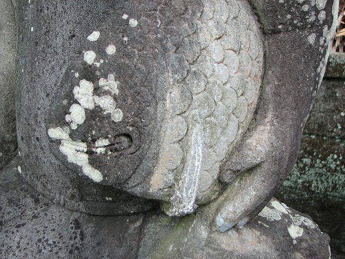 蛭子大明神5