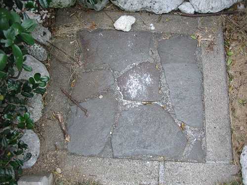 倉岳大えびす4