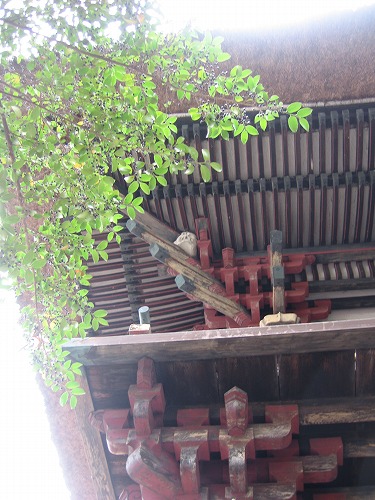 青井阿蘇神社8