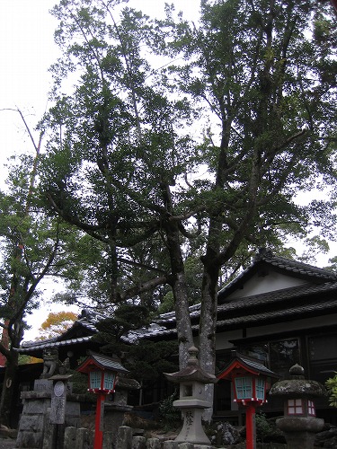 青井阿蘇神社1
